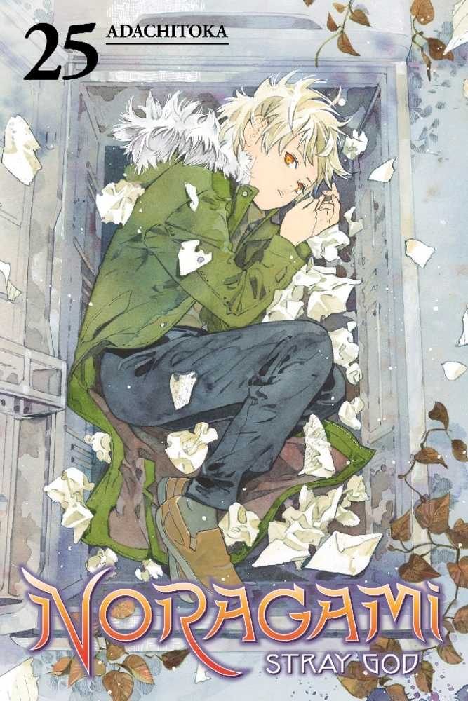 Noragami Stray God Graphic Novel Volume 25 (Mature)