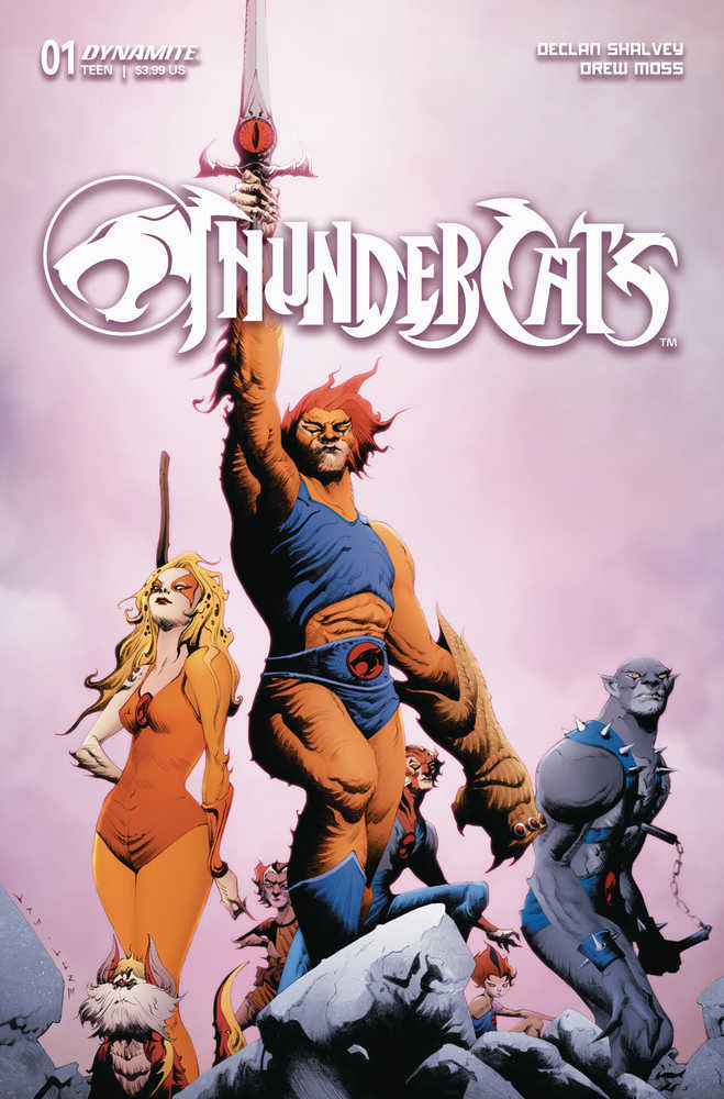 Thundercats #1 Cover D Lee & Chung